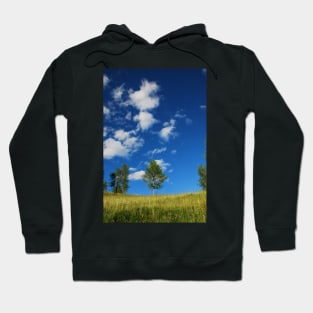 Trees with Cumulus Fractus Hoodie